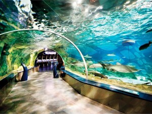 Acquario di Istanbul