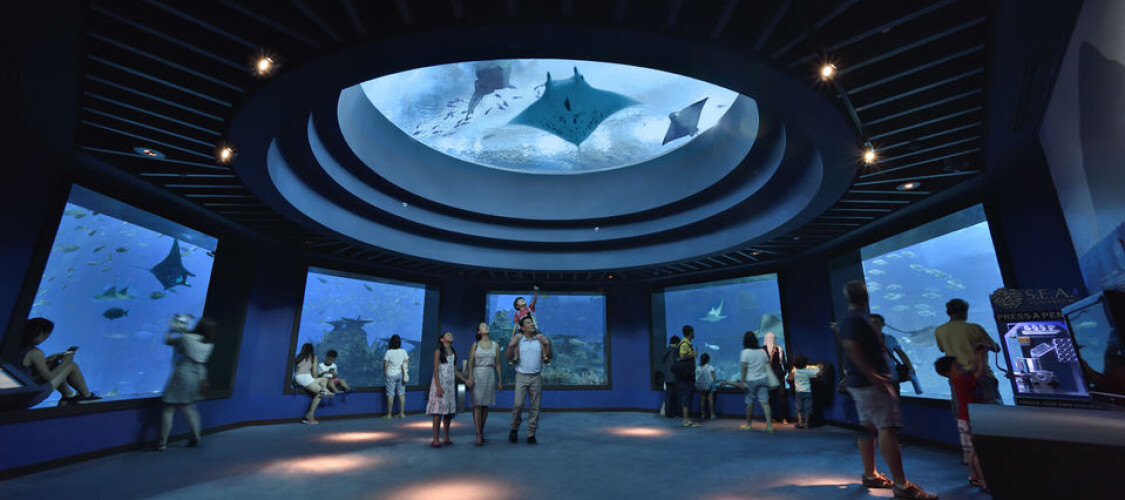 Prenota il biglietto ad ingresso prioritario per l’Acquario di Genova