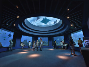 Acquario di Singapore