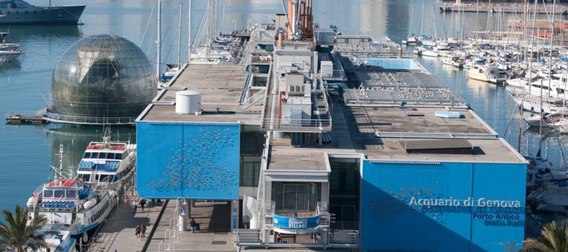 Prenota ora i biglietti per l'Acquario di Genova con ingresso prioritario