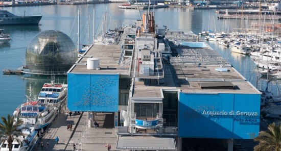 Cosa fare a Genova con i bambini - Top Esperienze