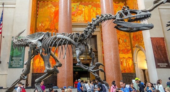 American Museum of Natural History di New York