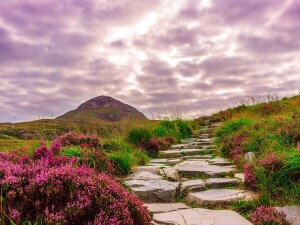 Connemara National Park