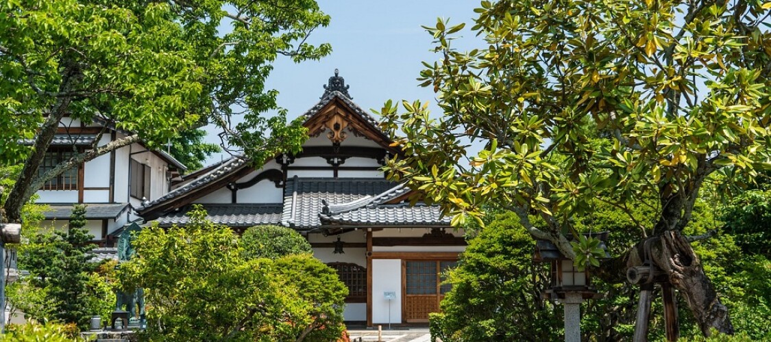 Scopri i migliori Tour guidati ed Escursioni con partenza da Kyoto