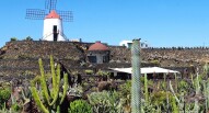Lanzarote giardino cactus