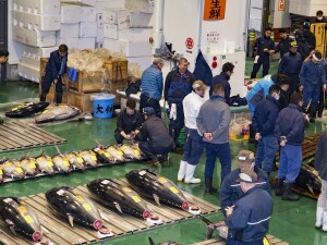 Mercato del pesce Tokyo asta tonni