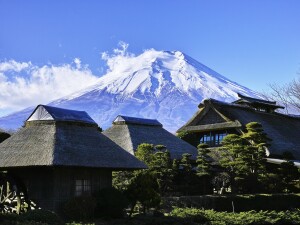 Monte fuji case