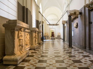 Museo archeologico nazionale napoli