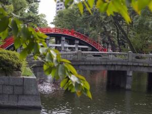 Santuario di Sumiyoshi ph chiron3636