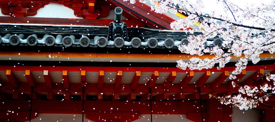 Scopri i migliori Tour e Attività per visitare le attrazioni di Tokyo