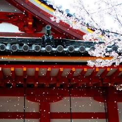 Cosa vedere a Tokyo: 15 (e più) icone imperdibili