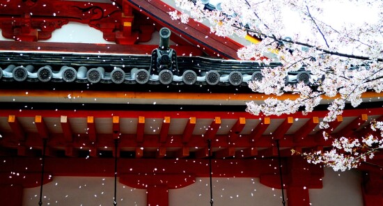 Cosa vedere a Tokyo: 15 (e più) icone imperdibili