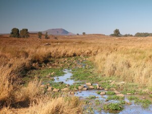 Golan Heights Israel