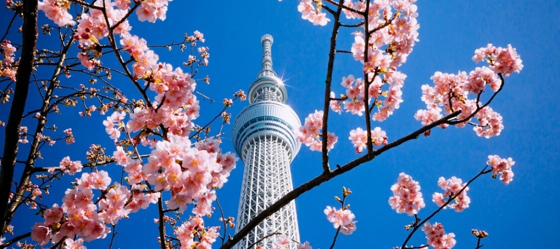 Vuoi salire sulla Tokyo SkyTree? Scopri le offerte sui biglietti e prenota ora