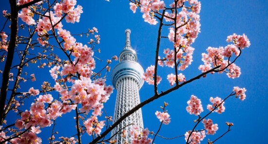 Tokyo SkyTree: Il cielo di Tokyo in 50 secondi