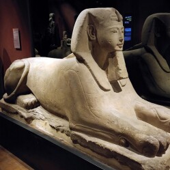 Museo Egizio di Torino - Guida alle Prenotazioni online