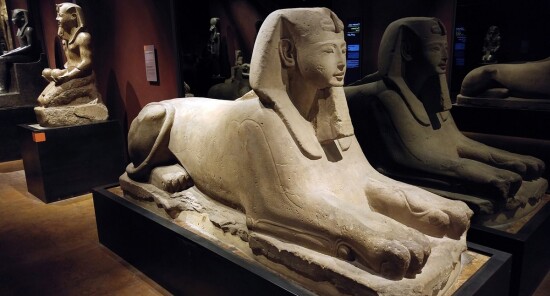 Museo Egizio di Torino - Guida alle Prenotazioni online