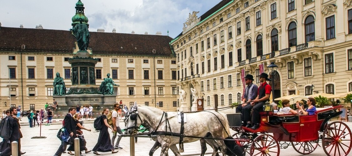 Scopri i migliori tour e attività per visitare le meraviglie di Vienna