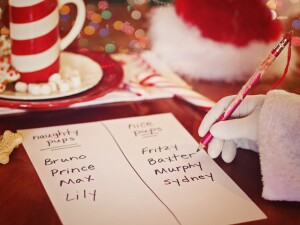 Babbo Natale letterina