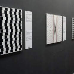 Come prenotare i biglietti per il Museo delle Illusioni di Roma