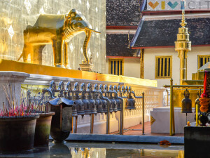 Chiang mai statua elefante Thailandia