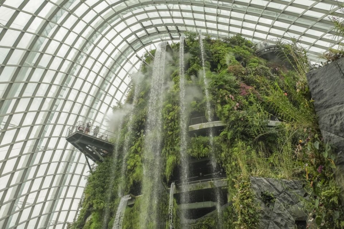 Singapore: biglietto elettronico per i Gardens by the Bay