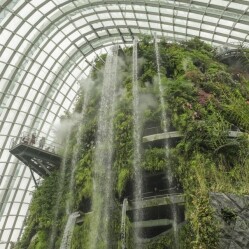 I giardini botanici più belli del mondo