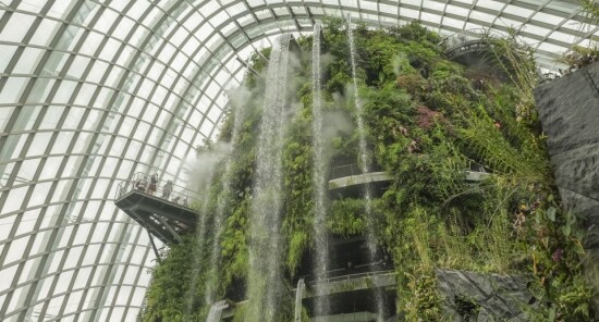 I giardini botanici più belli del mondo