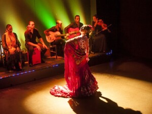 Spettacolo Flamenco Top