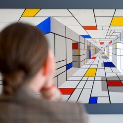 Musei delle Illusioni: Viaggio nell'Arte dell'inganno Visivo
