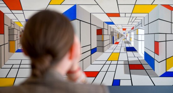 Musei delle Illusioni: Viaggio nell'Arte dell'inganno Visivo